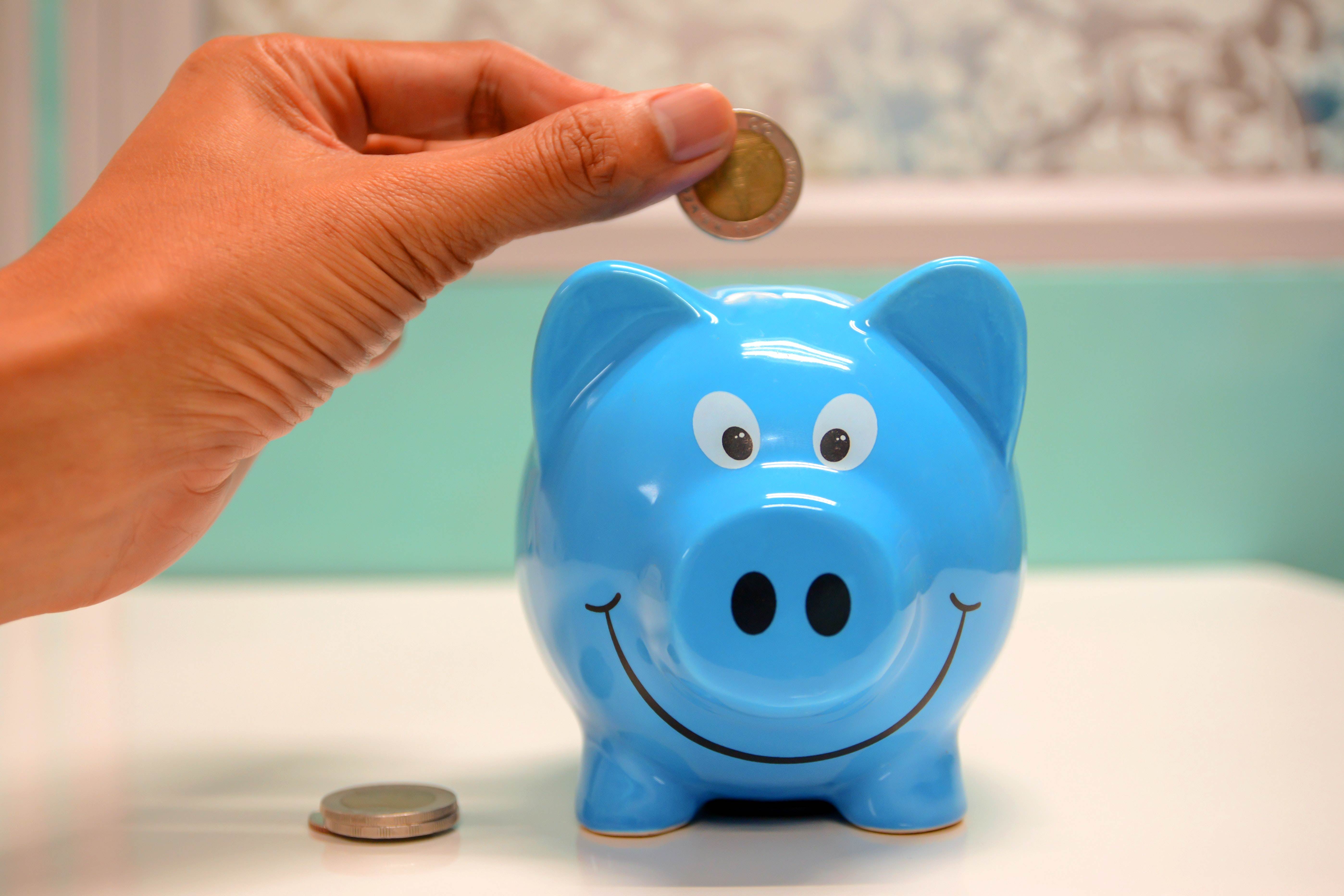 Blue piggy bank with coin